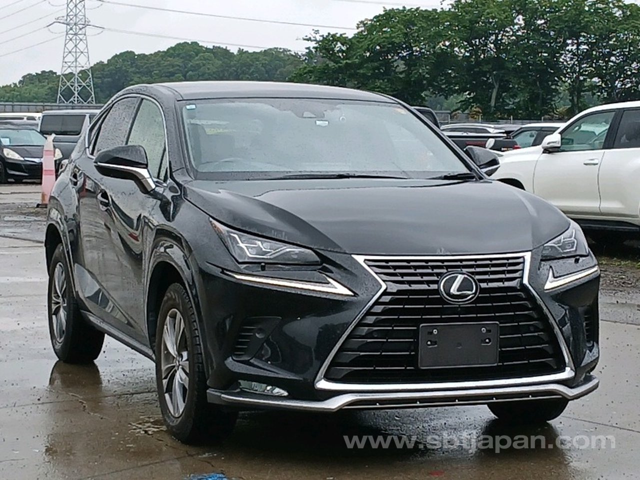 2021 Lexus Nx, photo 1 of 1